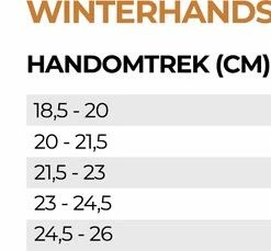 Luxe Winter Handschoenen - Handschoenen EN Wanten In 1 - Waterdicht Door Techshell - Nylon - Fiets, Wandel Handschoenen/wanten Combinatie - Dames En Heren - Zwart/Blauw - Maat M / 7 - R2 Cover -Windgoo Shop 550x229