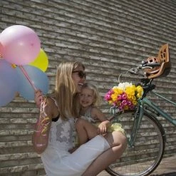 Bobike One Mini Fietsstoeltje Voor - Choc Brown -Windgoo Shop 550x366 139