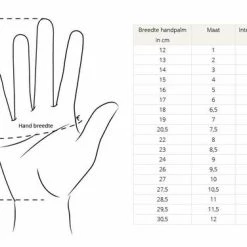 Basic Touchscreen Sport Handschoenen - Maat M -Windgoo Shop 550x376 1