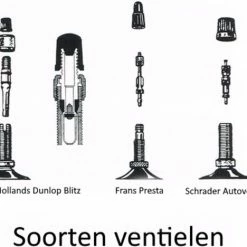 Benson Fietspomp Met Nanometer -Windgoo Shop 550x468 3